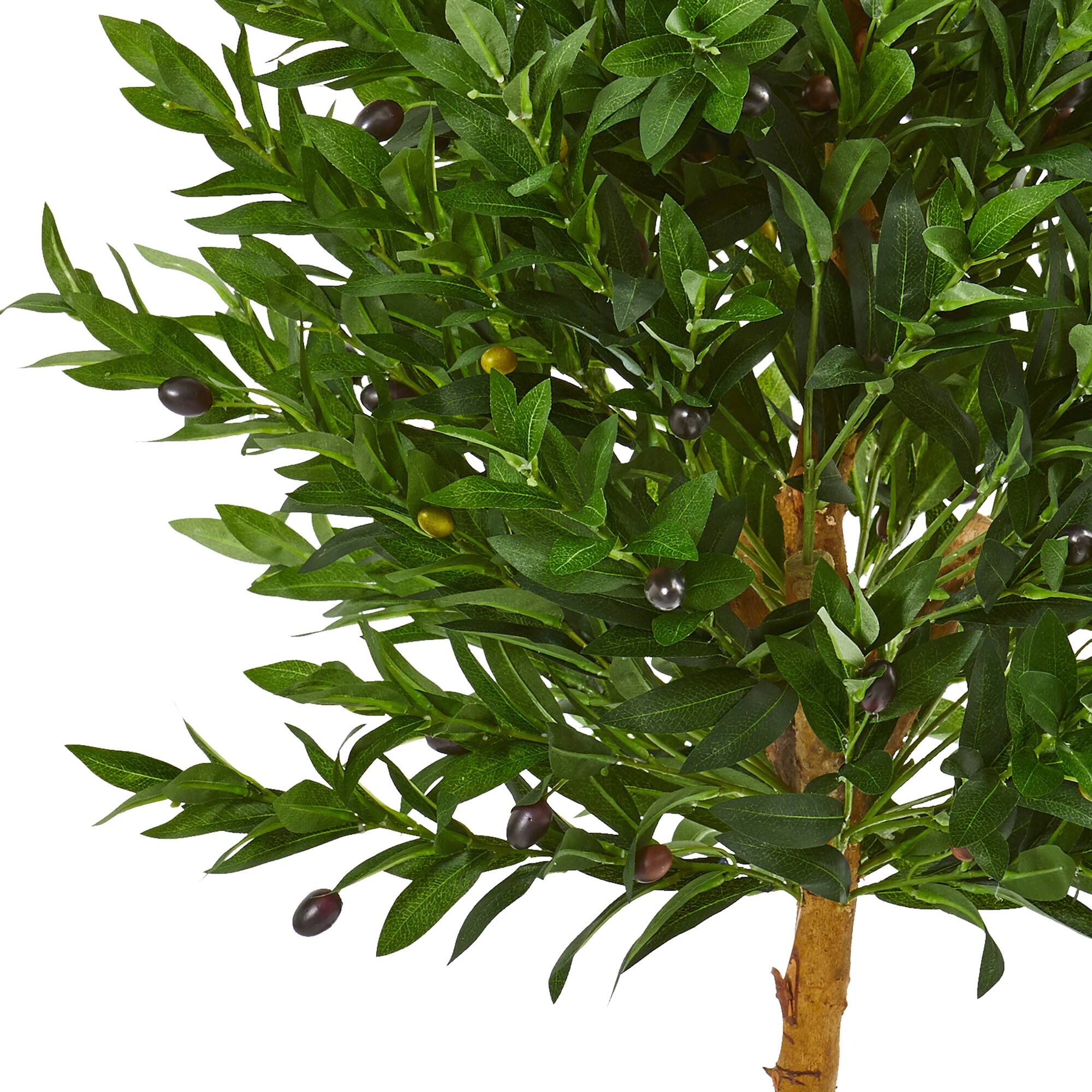 4.5ft. Potted Olive Cone Topiary Tree